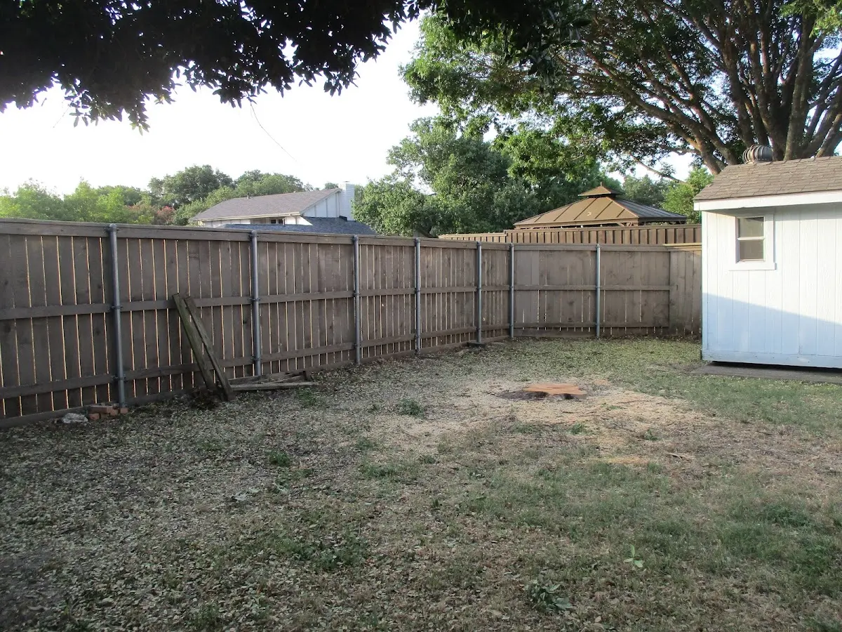 Cleared yard after professional tree removal in Severance