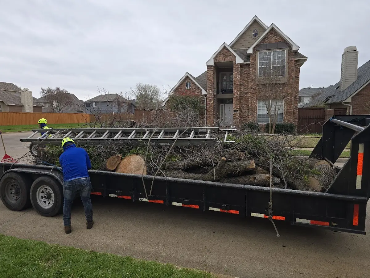 Expert Tree Fertilization with proper safety equipment in Severance